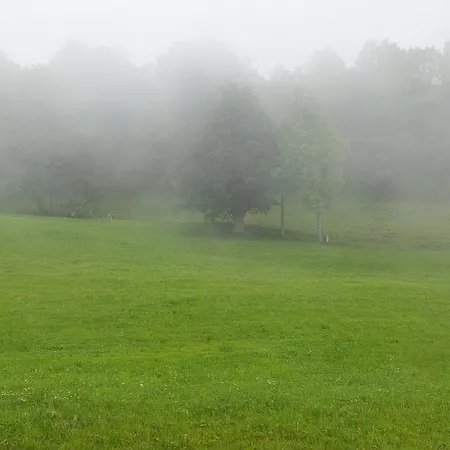 公寓 Bamerhof Haus Steger *