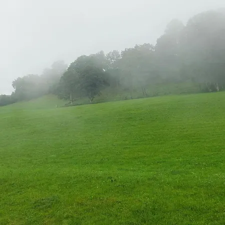 Bamerhof Haus Steger * 米特西尔