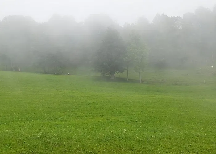 公寓 Bamerhof Haus Steger *