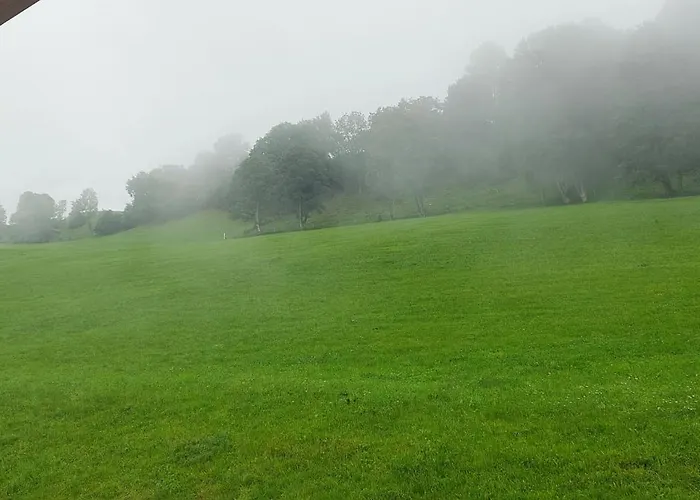 Bamerhof Haus Steger * 米特西尔